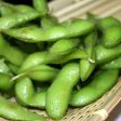 Soja Edamame Envy Biologique Online Hot Sale