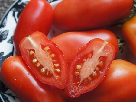 Tomate Dix Doigts de Naples Biologique Cheap