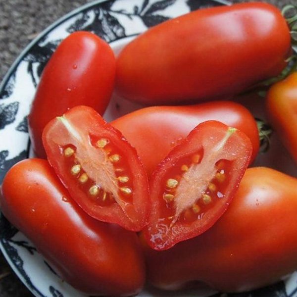 Tomate Dix Doigts de Naples Biologique Cheap