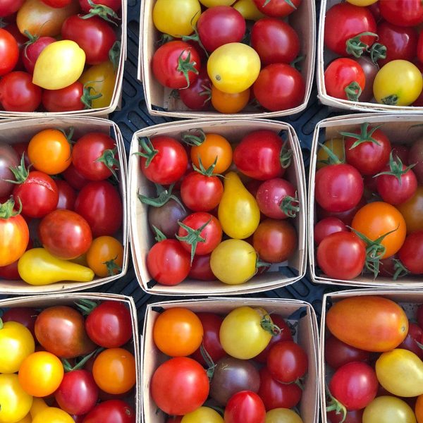 Tomate en Mélange Petits Fruits Biologique on Sale