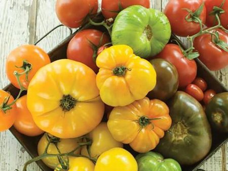 Tomate en Mélange Gros Fruits Biologique For Cheap