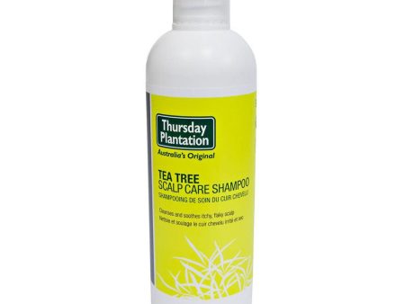 Shampoing Tea Tree Online Hot Sale