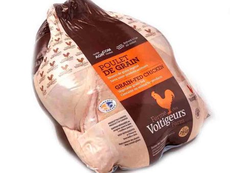 Poulet Entier Nourri de Grain Végétal Hot on Sale