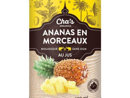 Ananas en Morceaux Biologique au Jus For Cheap