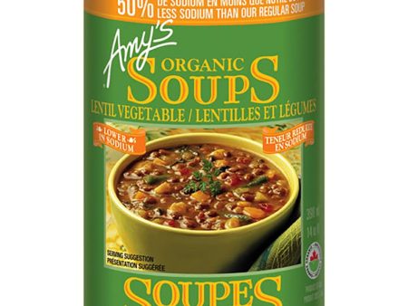 Soupe Lentilles & Légumes Bio Teneur Réduite en Sodium Online now