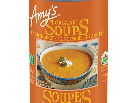 Soupe Gingembre et Carotte Bio Online